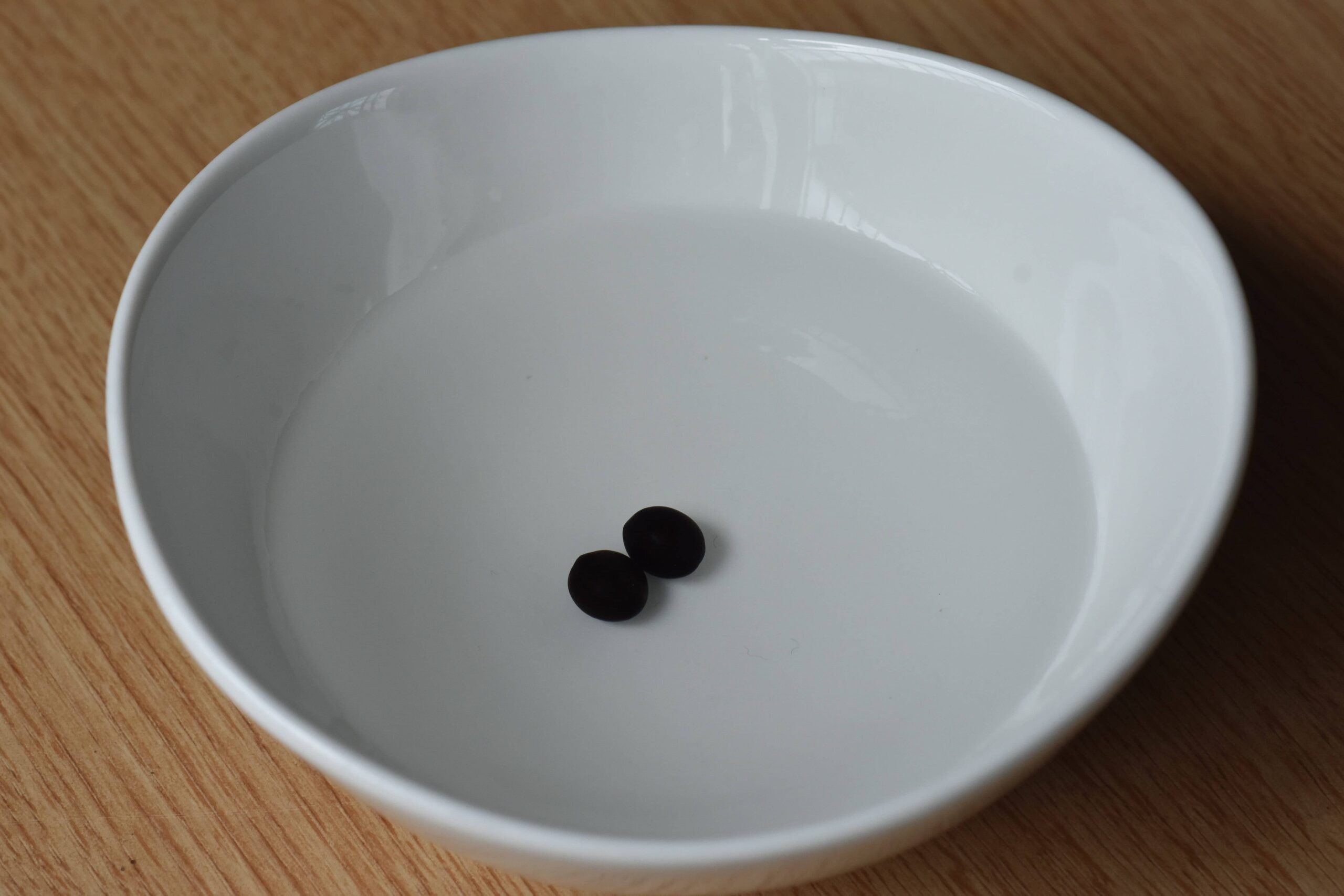 K！エバーフレッシュ　種　140粒　新鮮 DSC_3500_00005-scaled.jpg