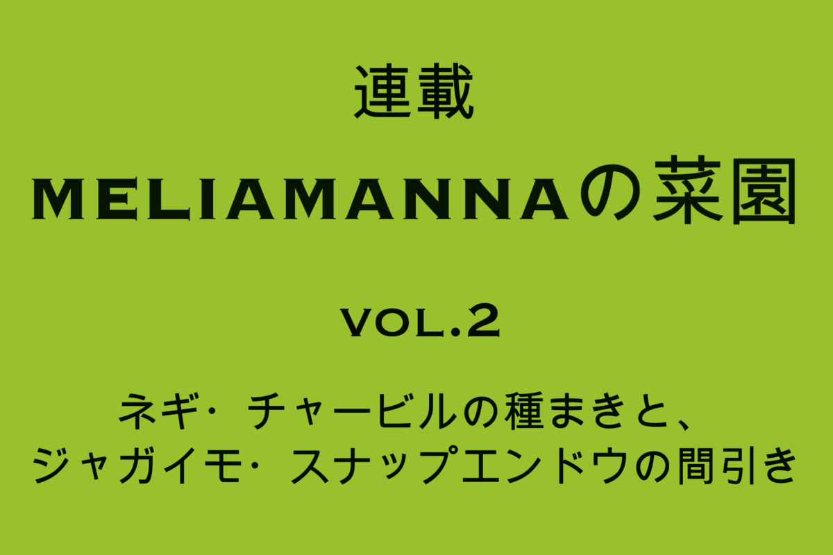 【MELIAMANNAの菜園 vol.2】ネギ・チャービルの種まきと、ジャガイモ・スナップエンドウの間引き