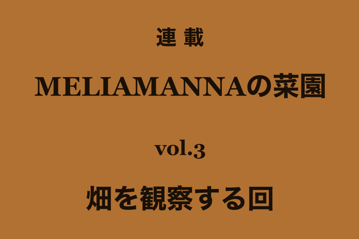 【MELIAMANNAの菜園 vol.3】畑を観察する回