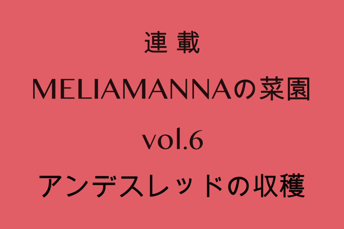 【MELIAMANNAの菜園 vol.6】アンデスレッドの収穫